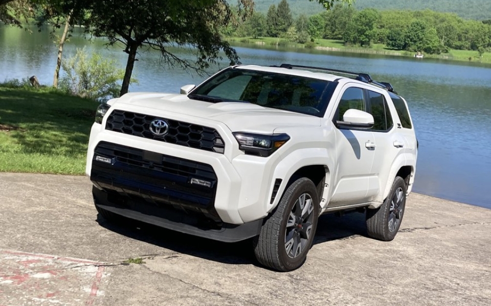 4Runner25-Flake2